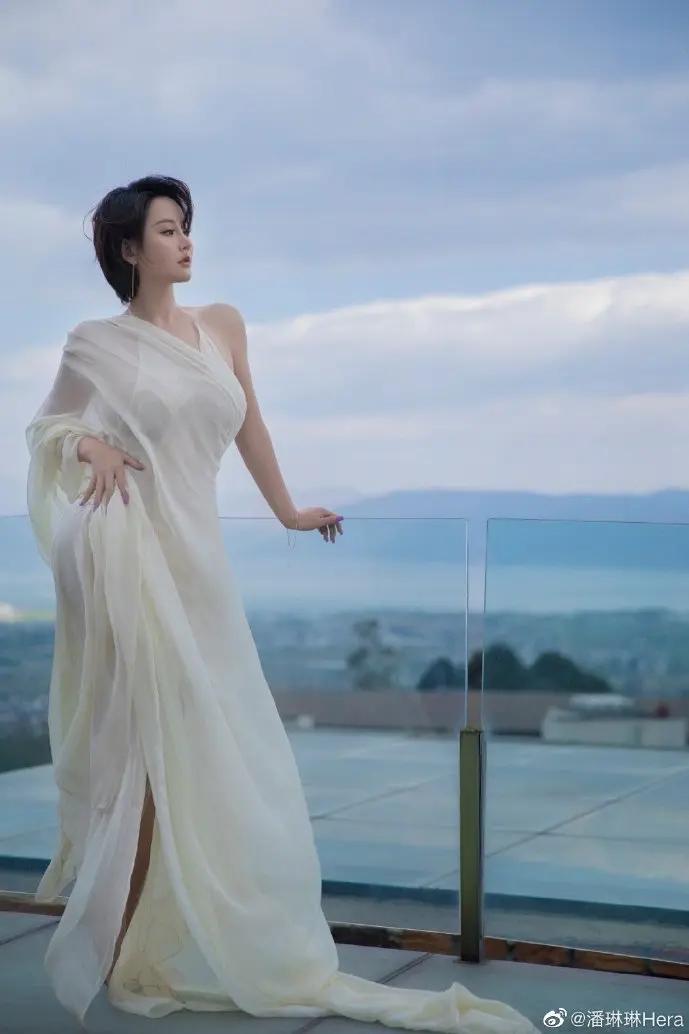 盗版网站流量对比